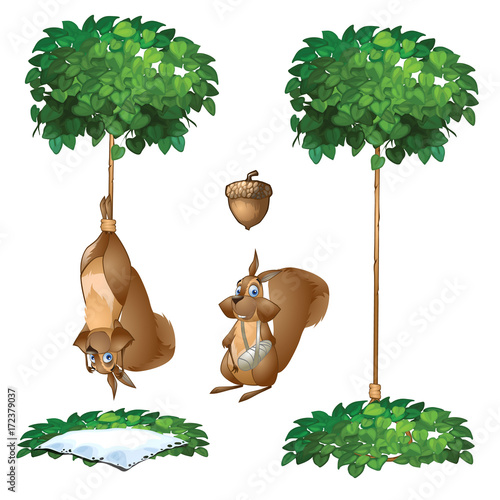 Trap for squirrel - one animal hanging on rope from tree and another one with broken paw. Vector scenic image in cartoon style. Illustration isolated on white background
