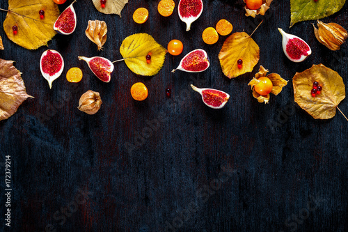 Autumn background: leaves, berries, dark wood with space for tex
