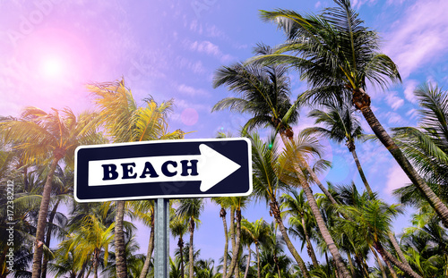 BEACH arrow street sign with tropical palm tree background.
