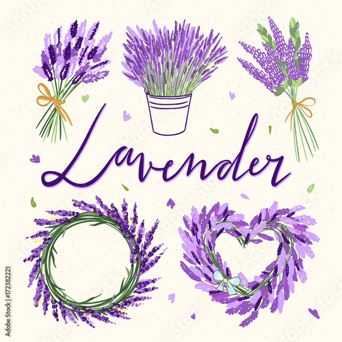 Fototapeta Naklejka Na Ścianę i Meble -  Web