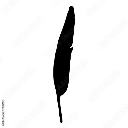 Black bird feather silhouette on white background. Vector illustration