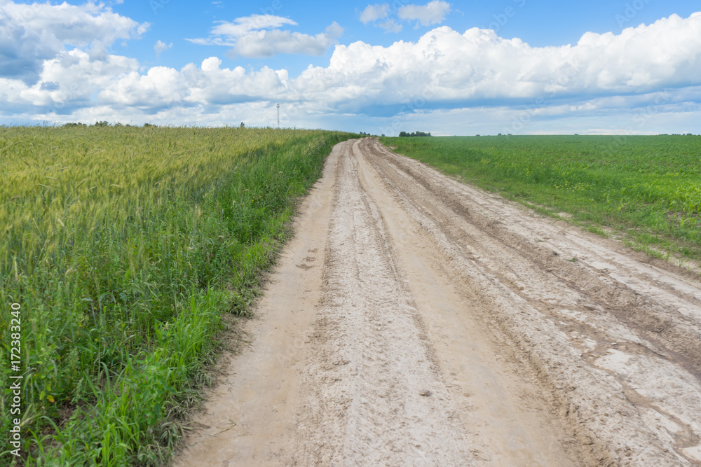 Vanishing dirt road through wheat farm field
Vanishing dirt road through wheat farm field