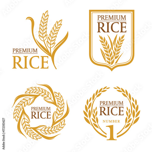 Orange brown paddy rice premium organic natural product banner logo vector design