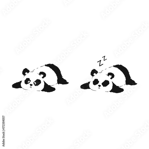 Fototapeta Naklejka Na Ścianę i Meble -  Panda resting on ground. Two vector illustrations of cute silhouette