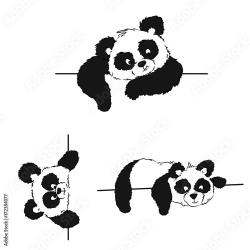 Fototapeta Naklejka Na Ścianę i Meble -  A set of pandas with a frame for drawing postcards and a menu of Chinese cuisine. Vector illustration