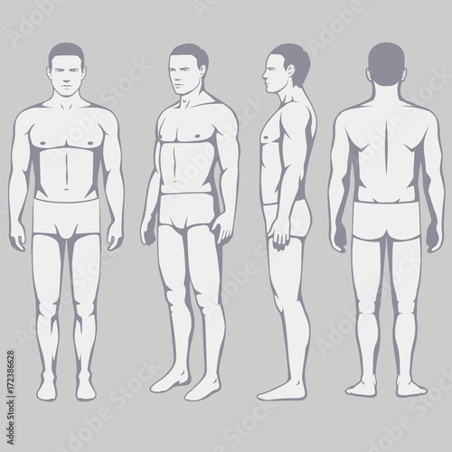 human body anatomy, vector man silhouette, front back side
