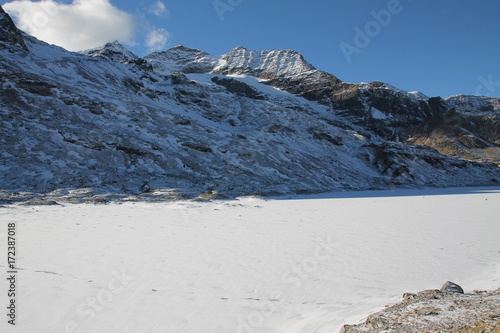 Paesaggio Ghiacciaio