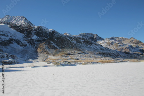 Paesaggio Ghiacciaio