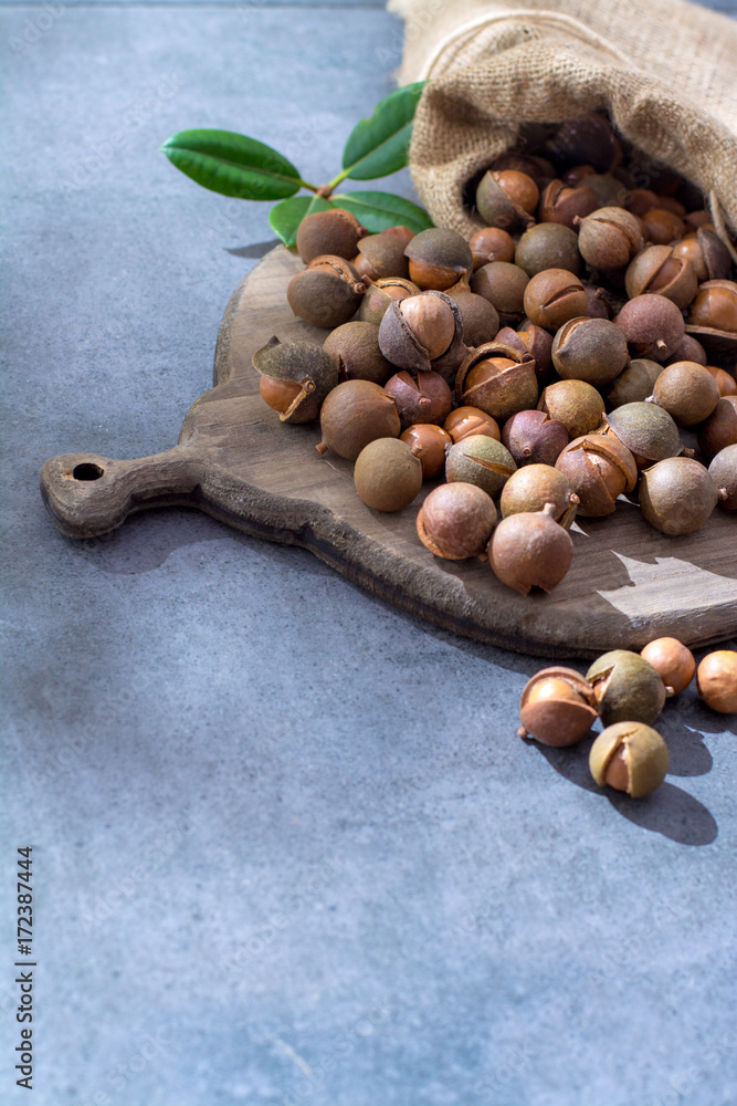 Australian macadamia nuts, unpeeld fresh harvest Australian macadamia nuts, unpeeld fresh harvest
