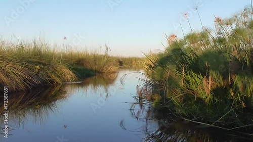 sailing through the channels of the okavango delta in botswana