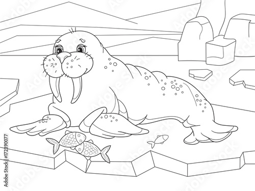 The walrus flippered marine mammal with a discontinuous distribution about the North Pole in the Arctic. Coloring book