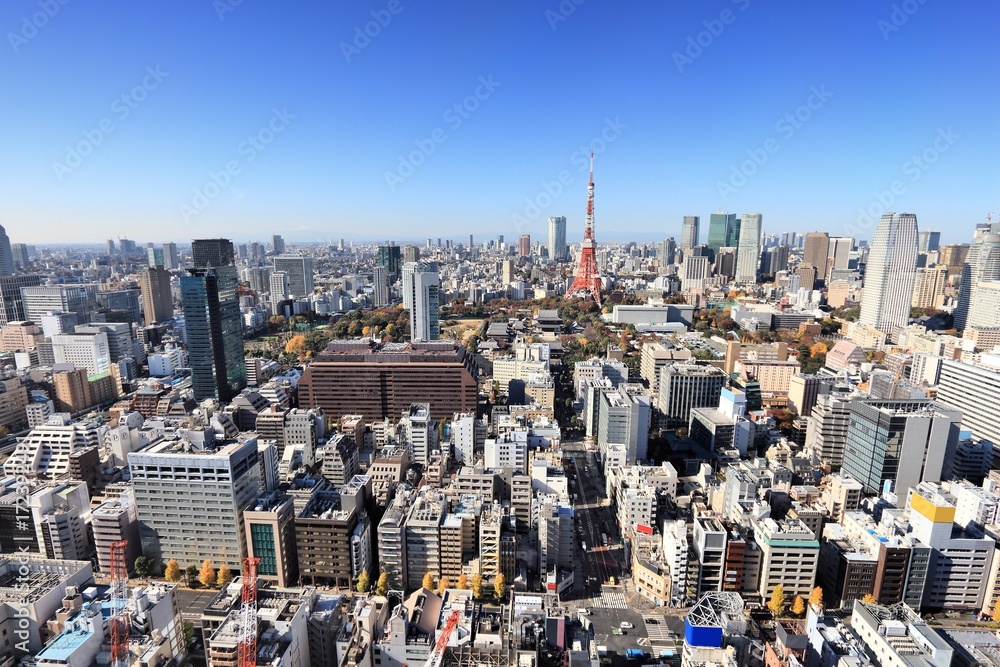 Fototapeta premium Tokyo skyline