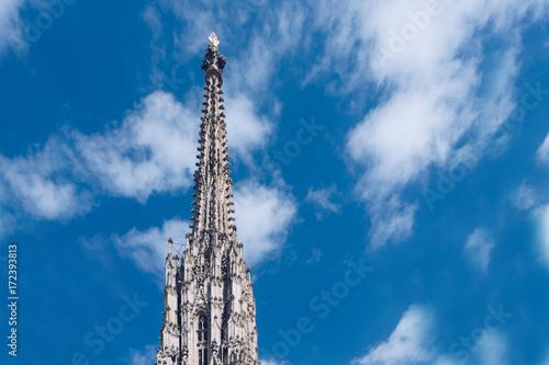 St. Stephan cathedral in Vienna  Austria