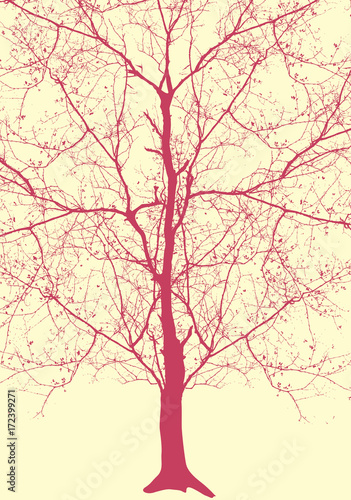 Vintage Dead Tree Background