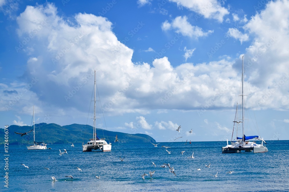 Catamaran sur l'océan des Antilles Catamaran sur l'océan des Antilles