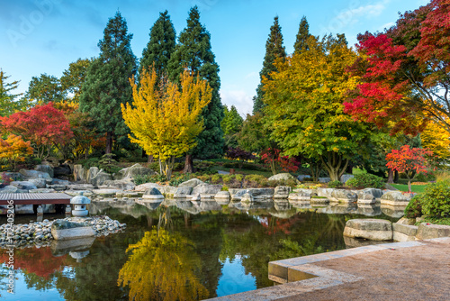 Autumn colours at pond in Hamburg