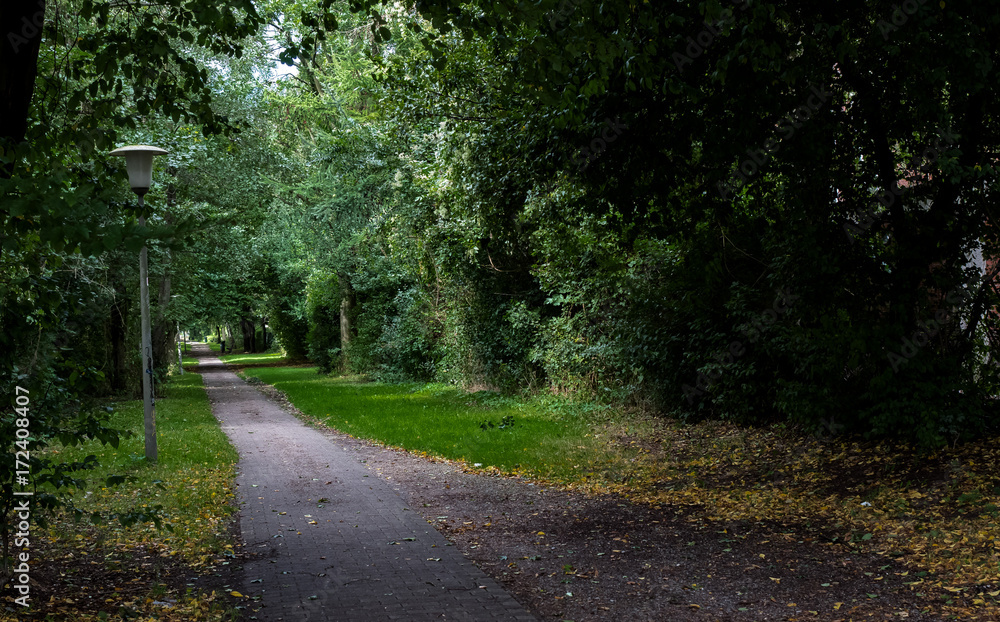 Herbstland Im Park Herbstland Im Park