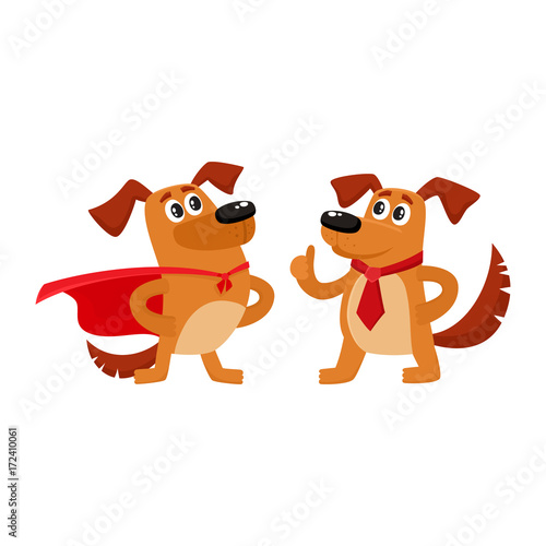 Two funny brown dog characters, one standing in superhero cape, another showing thumb up, cartoon vector illustration isolated on white background. Two funny house dog characters