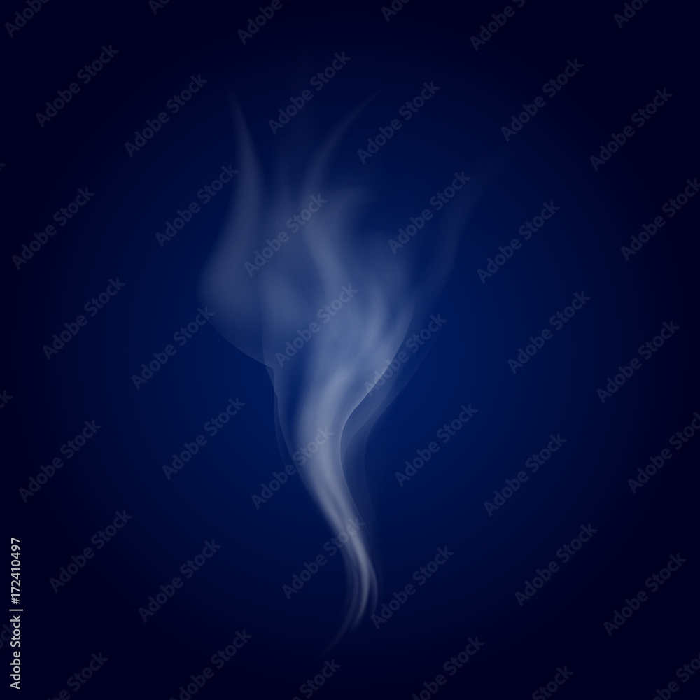 Delicate white cigarette smoke waves on transparent background vector illustration