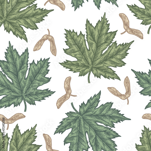 Engraving seamless pattern of maple leaves and seeds