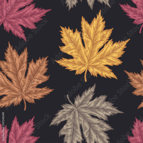 Engraving autumn maple seamless pattern.