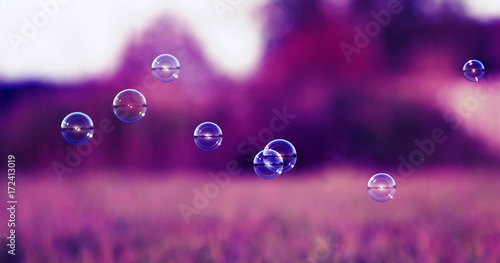 festive background with iridescent soap bubbles flying over a sun-drenched me...