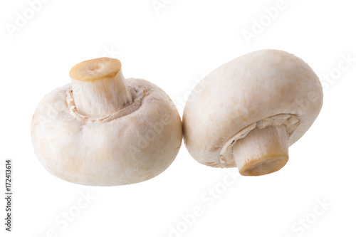 White champignon mushrooms, Champignon Isolated on White Background