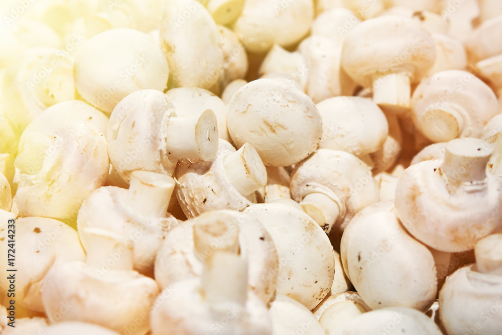 Delicious fresh mushrooms on the counter in the shop. Toned. Delicious fresh mushrooms on the counter in the shop. Toned.