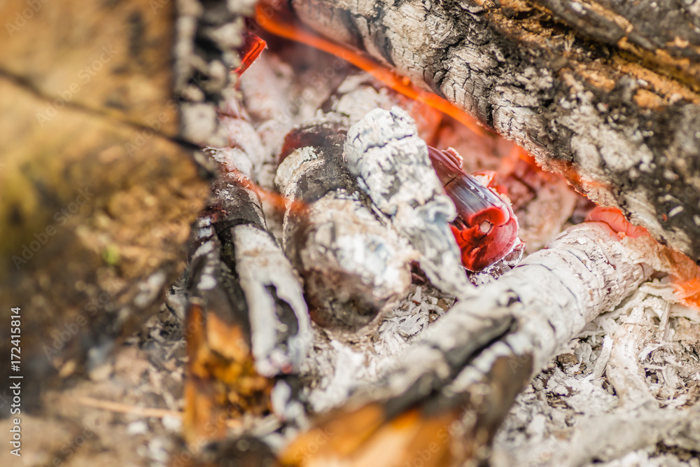 Burning firewood in the fireplace close up Burning firewood in the fireplace close up