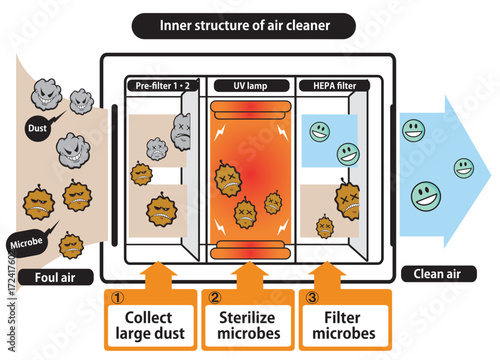 inner structure of air cleaner