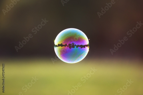 beautiful iridescent soap bubble with reflection landscape flies by sundown
