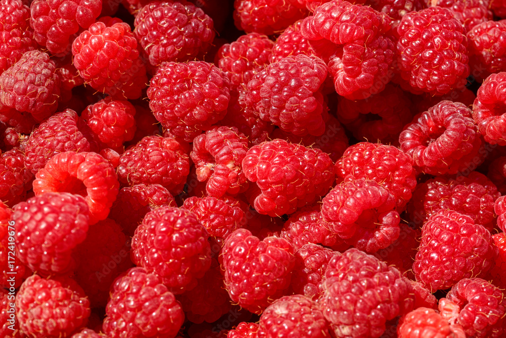 close up of fresh berries red raspberry. close up of fresh berries red raspberry.
