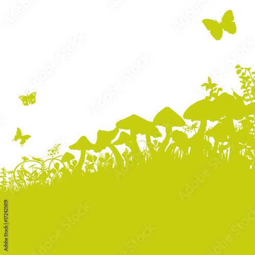 Pilze im Gras