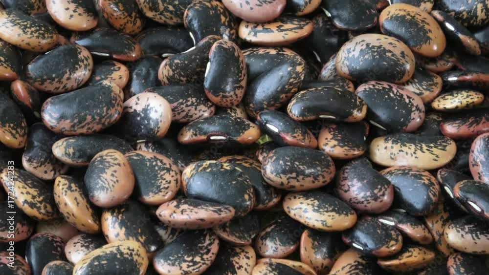 The large color beans. Proper nutrition. Vitamins. Healthy food.
The large color beans. Proper nutrition. Vitamins. Healthy food.