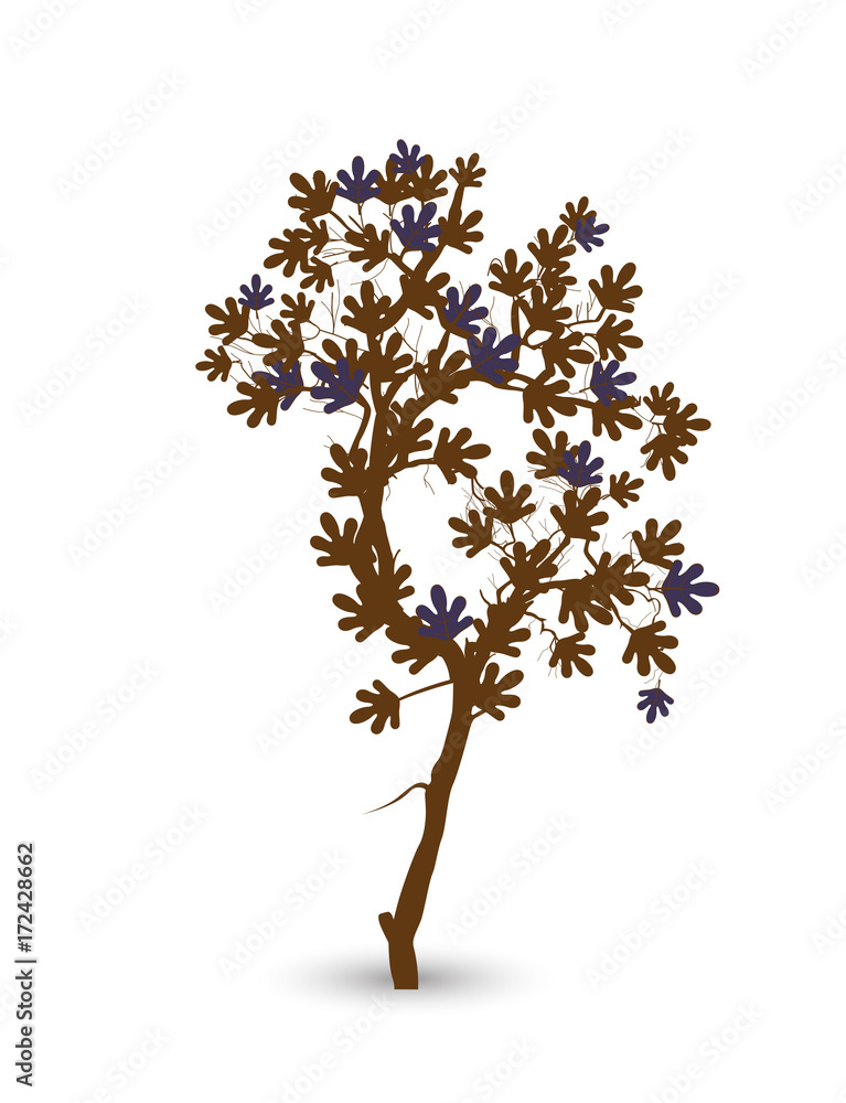 Maple Leaves Branch Vector