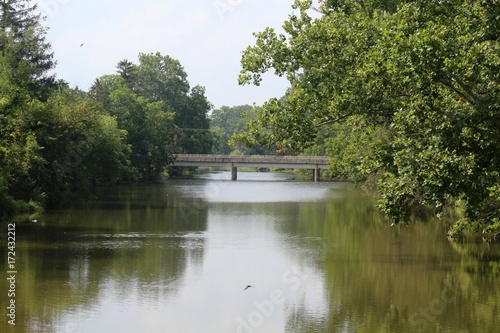 A flowing river in the forest.
