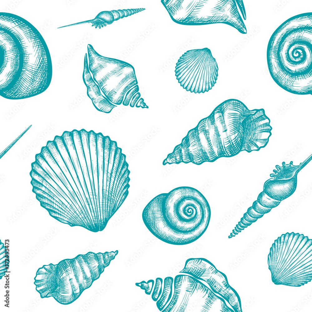 shells_pattern-03