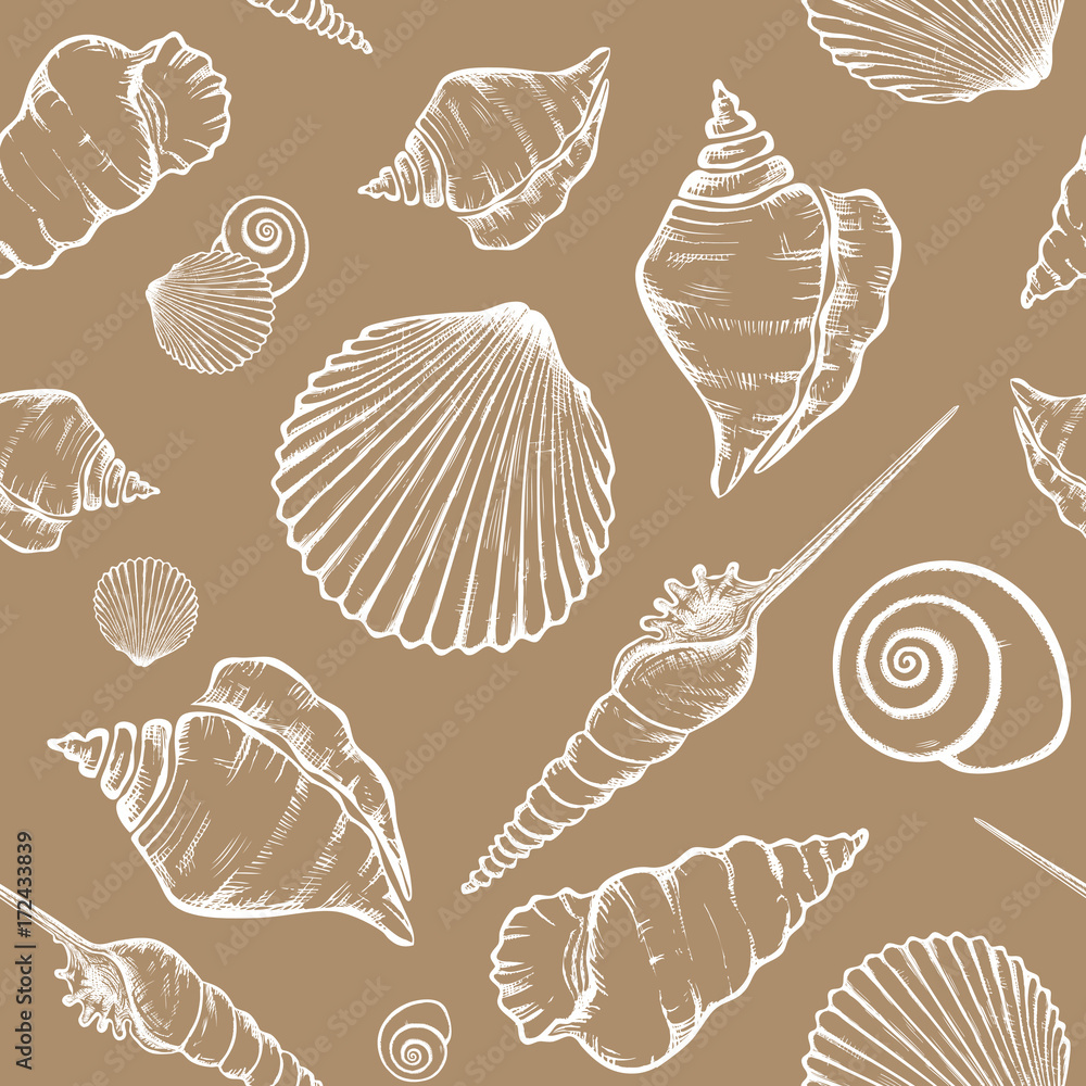 shells_pattern-08