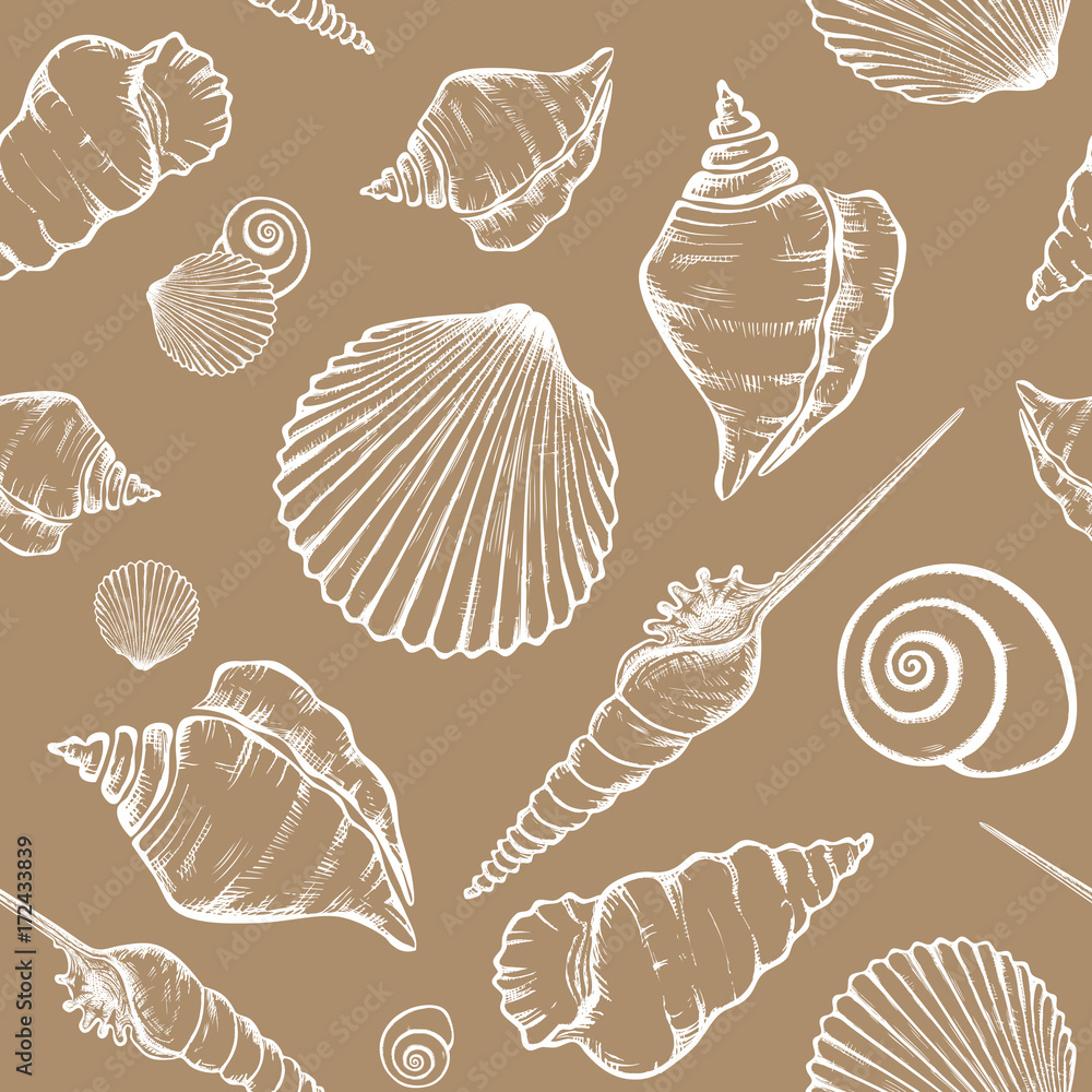 shells_pattern-08 shells_pattern-08