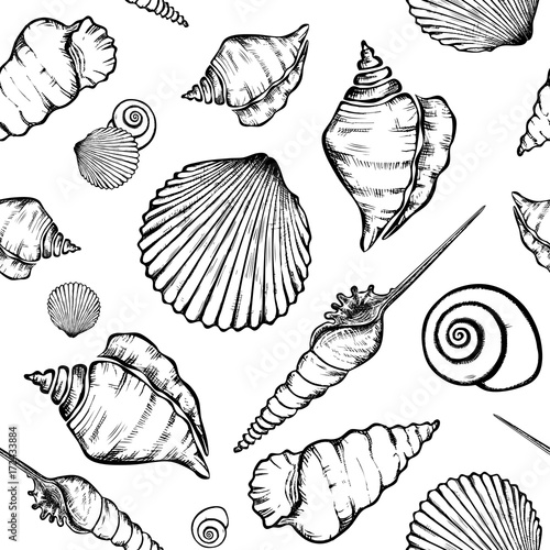 shells_pattern-09