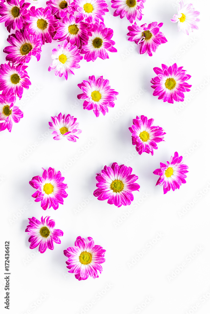 Floral pattern with pink flowers on white background top view Floral pattern with pink flowers on white background top view