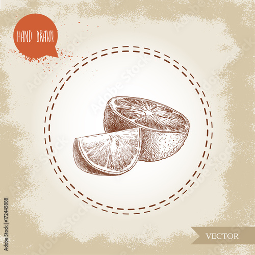 Hand drawn sketch style orange fruit composition. Half orange and segment slice. Hand made vector citrus fruit illustration isolated on old looking background.