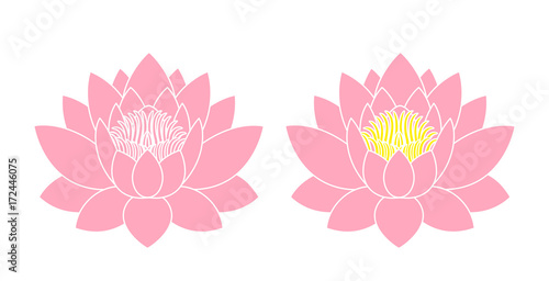Lotus flower. Isolated lotus on white background