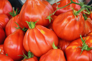 Papier peint photo Ligurie Tomates fraîches du marché ligure  © whiteaster
