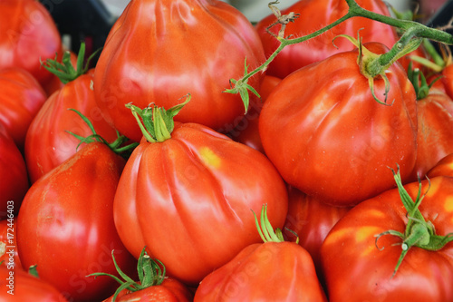 Fresh garden tomatoes at the market. Solanum lycopersicum Liguria