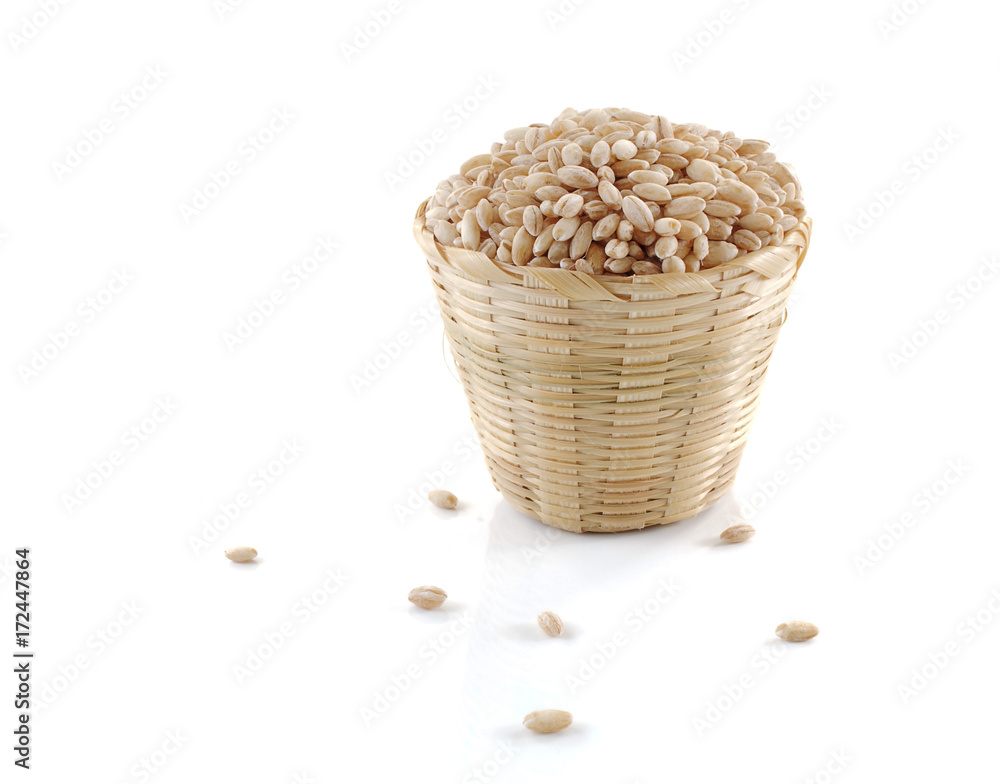 pearls barley grain seed on background pearls barley grain seed on background