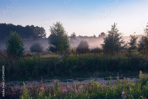 Foggy natural landscape. Cloudless sky, misty forest and dirt road through meadow