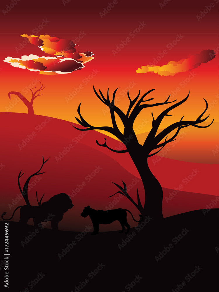 African Sunset with Lion