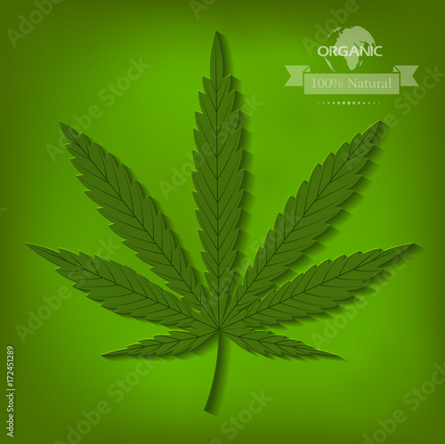 Sheet of hemp medicine.
