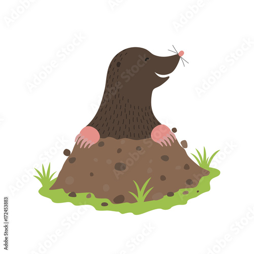 Mole Digging Out of the dirt animal cartoon character